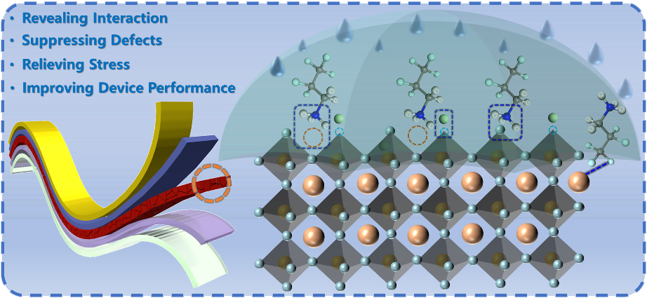 918博天堂在缺陷钝化机制与柔性钙钛矿太阳能电池研究方面取得进展